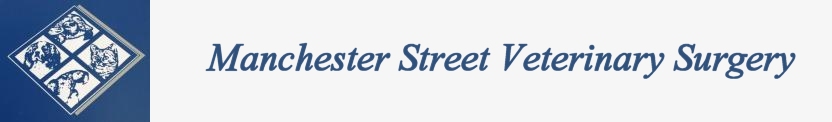 Manchester Street Veterinary Surgery logo image