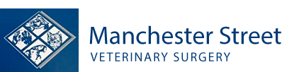 Manchester Street Veterinary Surgery logo image